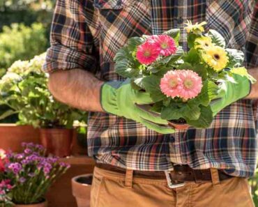 10 najčešćih grešaka koje ljudi prave pri uređenju vrta