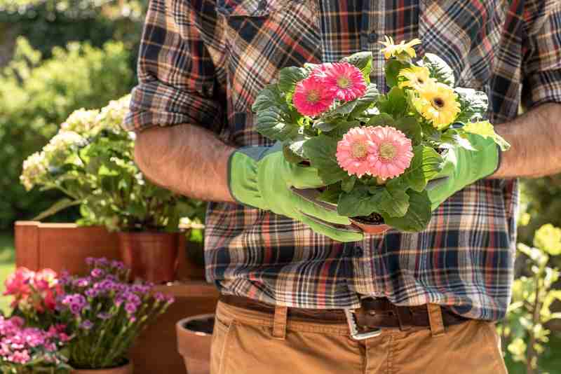 10 najčešćih grešaka koje ljudi prave pri uređenju vrta