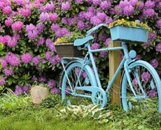 BEZ IKAKVOG TROŠKA: 10 kreativnih ideja za uređenje dvorišta