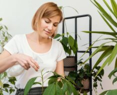 STRUČNJAKINJA OTKRILA: Ovo je najčešća greška koju radimo s biljkama na početku jeseni