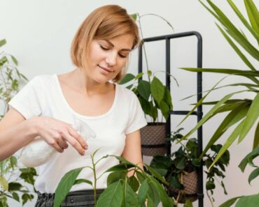 STRUČNJAKINJA OTKRILA: Ovo je najčešća greška koju radimo s biljkama na početku jeseni