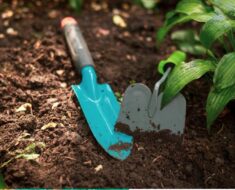 PROLJEĆE U VRTU: Evo što je najvažnije napraviti prije početka prvih radova